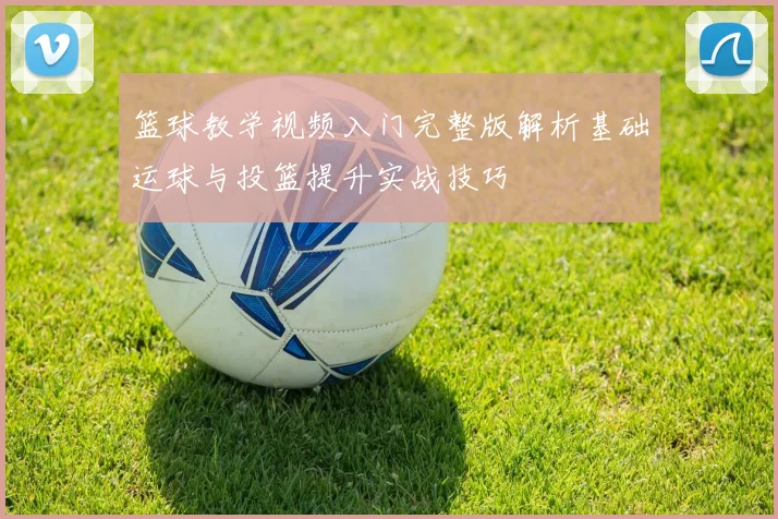 篮球教学视频入门完整版解析基础运球与投篮提升实战技巧